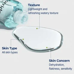 DIVE-IN Low Molecular Hyaluronic Acid Toner|TORRIDEN Online