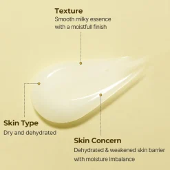 SOLID-IN All Day Essence|TORRIDEN Sale