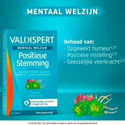 Mentaal Welzijn Positieve Stemming Dragees|Valdispert New