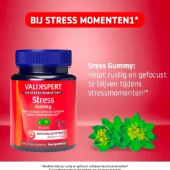 Stress Gummies|Valdispert