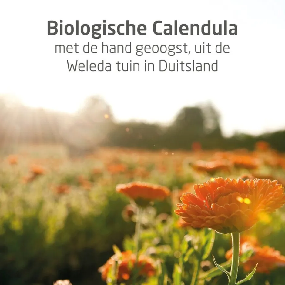 Weleda Baby Calendula Verzorgende Olie< Baby Huidverzorging