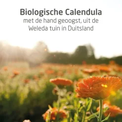 Weleda Calendula Weer en Windbalsem< Baby Huidverzorging
