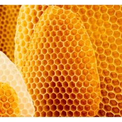 Weleda Cold Cream Gezichtscrème< Dagcreme