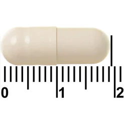Overgang Silhouet Capsules|Ymea New